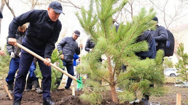 Қарағандыда бір күнде 400 ағаш отырғызылды - Sputnik Қазақстан