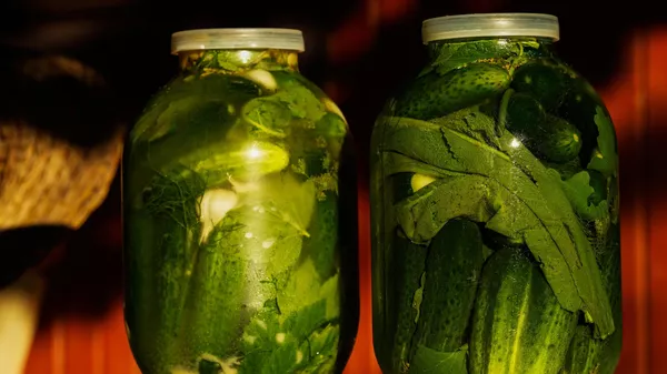 Консервированные огурцы на $5 млн купил Казахстан у России в 2025 году