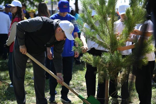 В Алматинской области прошла акция Таза Қазақстан - Sputnik Казахстан
