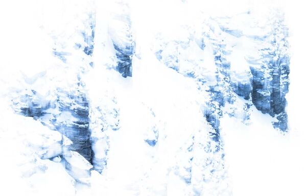 Снимок абсолютного победителя конкурса и победителя в номинации "Животные": "Белое на белом". - Sputnik Казахстан