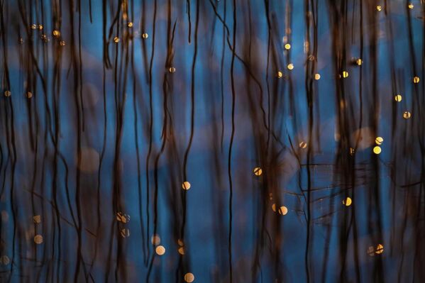 Победитель в номинации "Студия природы": "Фрагменты света" - Sputnik Казахстан