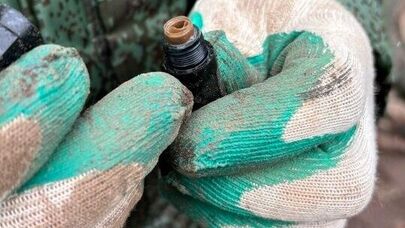 Российский поисковый отряд "Пирамида" обнаружил останки 28 участников Великой Отечественной войны
