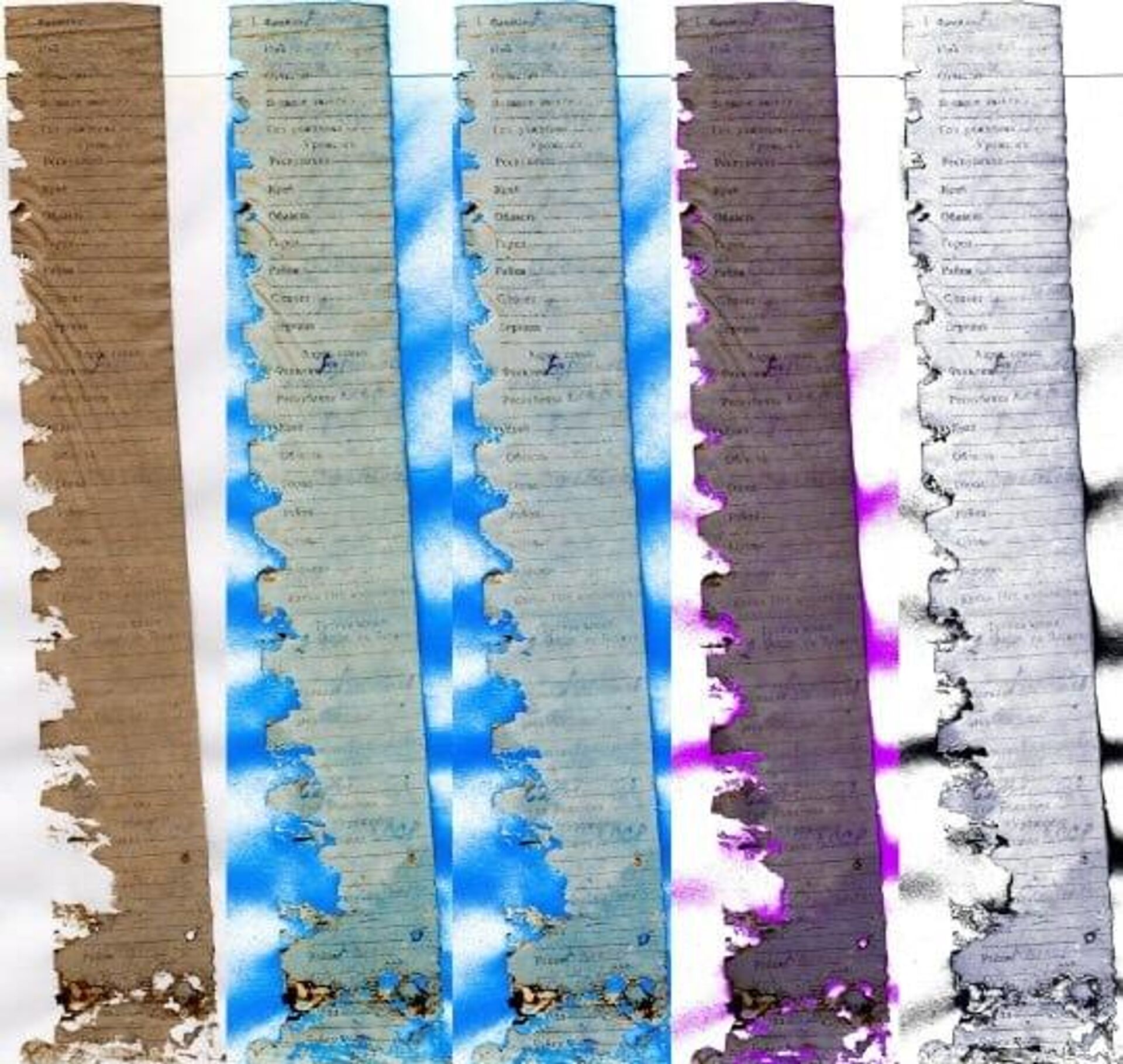 Российский поисковый отряд Пирамида обнаружил останки 28 участников Великой Отечественной войны - Sputnik Казахстан, 1920, 30.04.2026