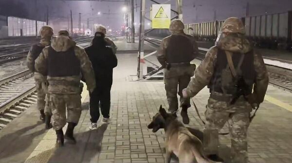 Подозреваемый в мошенничестве экстрадирован из России в Казахстан - Sputnik Казахстан