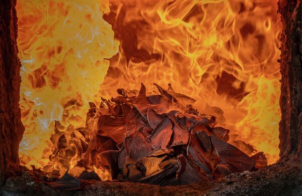 Фернандо Фасиоле түсірген сурет "Адамзат табиғатқа қарсы" номинациясында жеңіске жетті. Суретте Бразилия билігінің браконьерлікке қарсы науқаны кезінде тәркілеген акула жүзбеқанаттарының жойылуы бейнеленген. - Sputnik Қазақстан