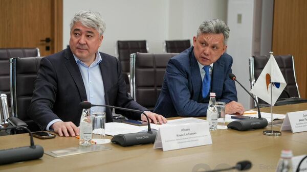 Встреча министра ЕЭК Бахыта Султанова и вице-министра юстиции Казахстана Ботагоз Жакселековой - Sputnik Казахстан