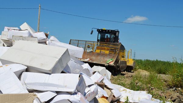 Антиконтрафакт-2026: Как бороться с подделками в цифровую эру - видеомост - Sputnik Казахстан