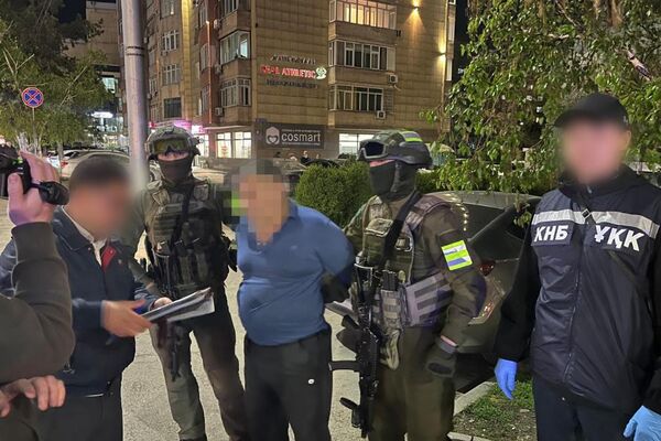 КНБ провел задержания преступных групп, связанных с наркобизнесом - Sputnik Казахстан