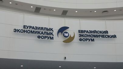 
Заседание Высшего Евразийского экономического совета проходит в Астане - прямой эфир