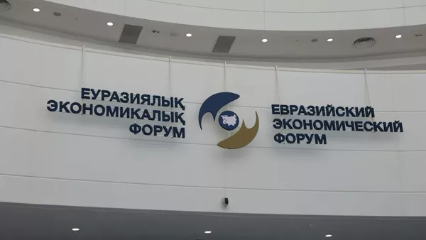 
Заседание Высшего Евразийского экономического совета проходит в Астане - прямой эфир - Sputnik Казахстан