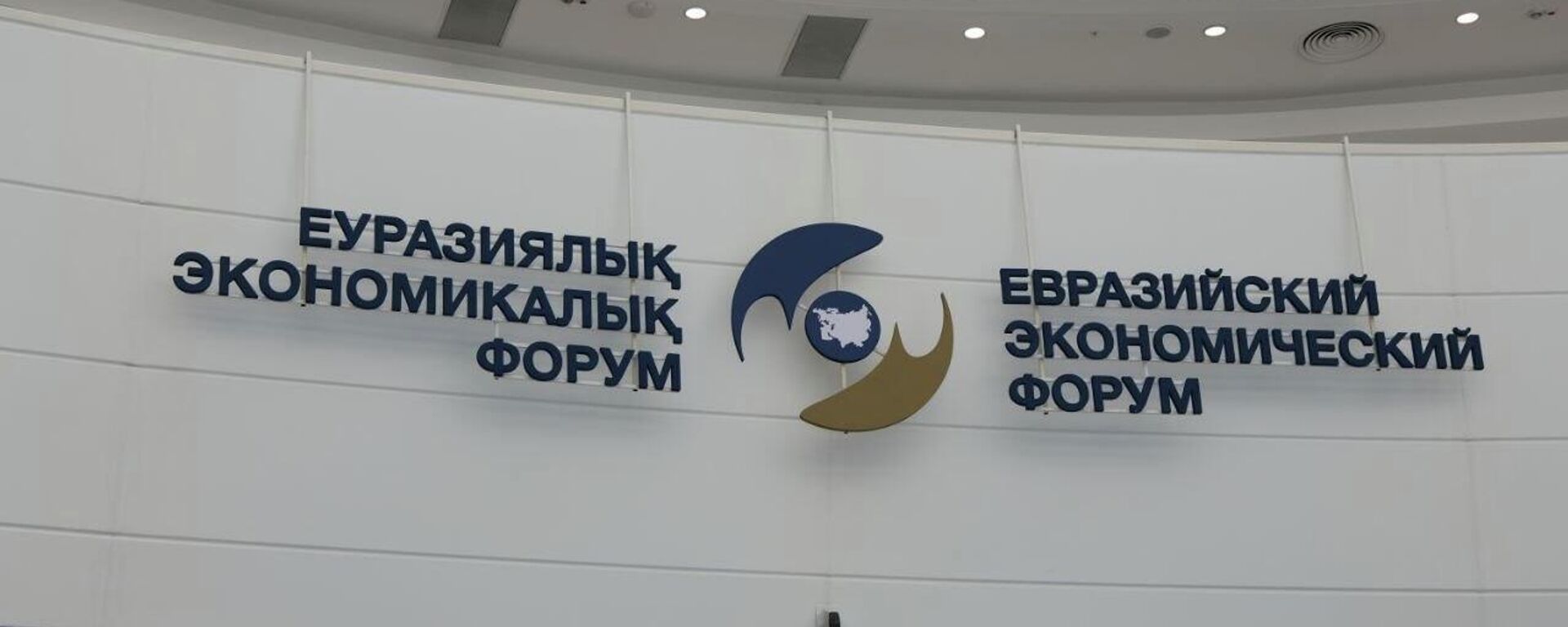 
Заседание Высшего Евразийского экономического совета проходит в Астане - прямой эфир - Sputnik Казахстан, 1920, 29.05.2026