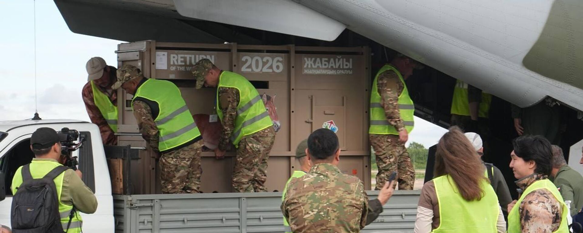 Қазақстанға Пржевальский жылқыларының екінші тобы жеткізілді Қазақстанға Пржевальский жылқыларының екінші тобы жеткізілді - Sputnik Қазақстан, 1920, 05.06.2026