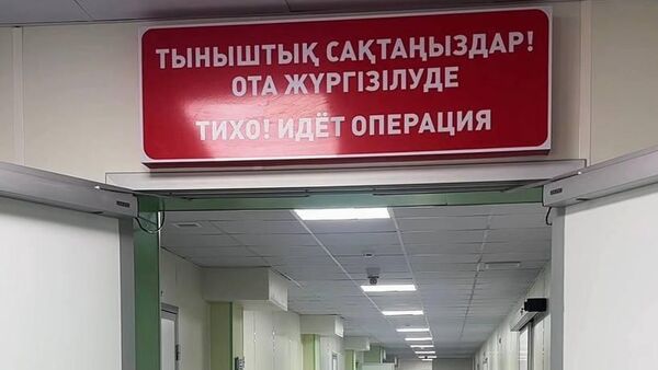 Балқаш ауруханасында ауқымды жаңғырту жұмыстары қайтарылған активтер есебінен жүргізілді - Sputnik Қазақстан