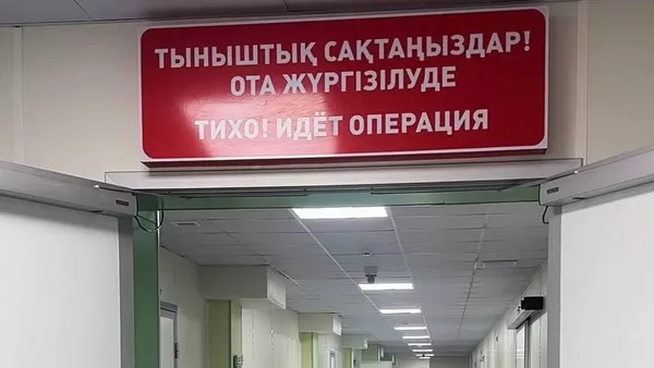 Балқаш ауруханасында ауқымды жаңғырту жұмыстары қайтарылған активтер есебінен жүргізілді - Sputnik Қазақстан