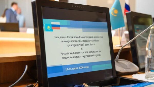 Пятое заседание Казахстанско-Российской комиссии по сохранению экосистемы бассейна трансграничных рек Жайык (Урал) и Ертис (Иртыш) - Sputnik Казахстан