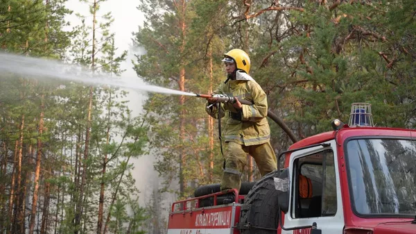 Семей орманы мемлекеттік орман табиғи резерватындағы өрт оқшауланды - Sputnik Қазақстан