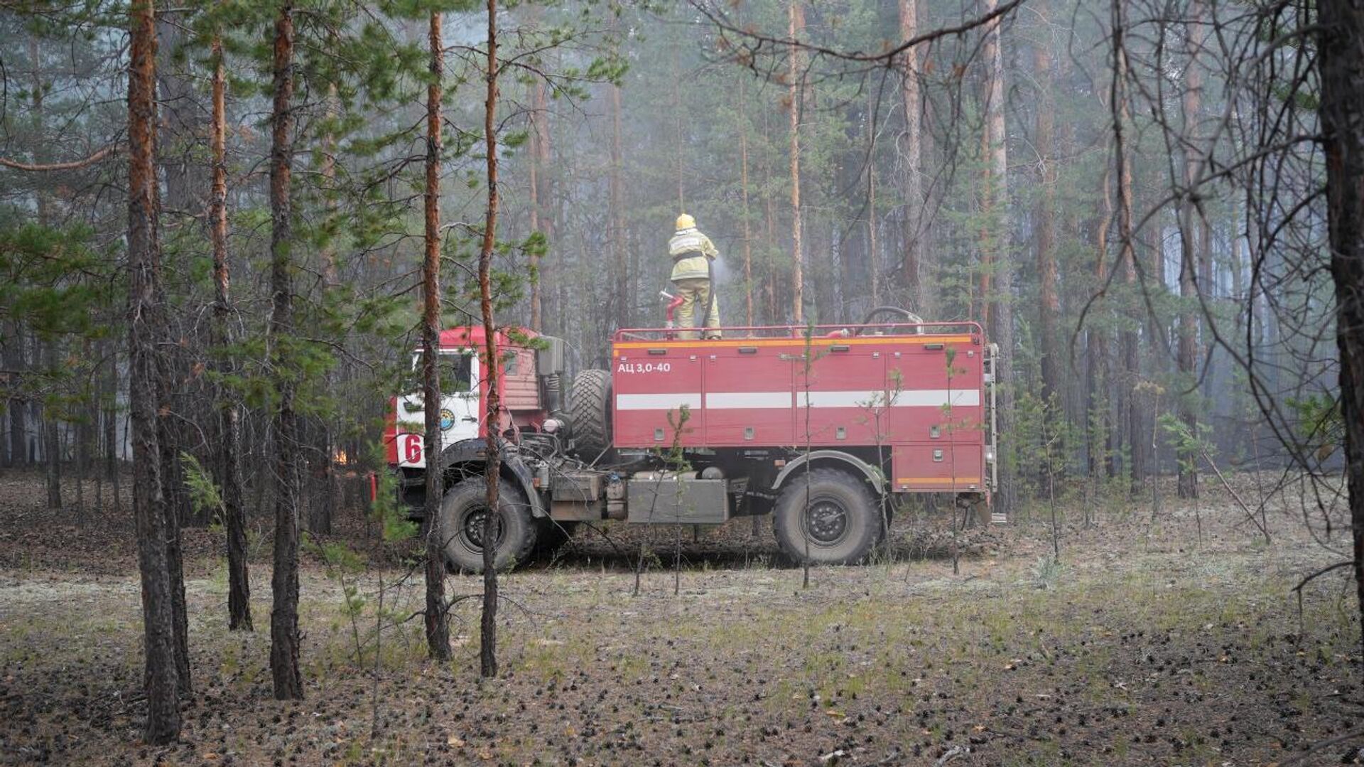 Семей орманы мемлекеттік орман табиғи резерватындағы өрт оқшауланды Семей орманы мемлекеттік орман табиғи резерватындағы өрт оқшауланды - Sputnik Қазақстан, 1920, 18.07.2026