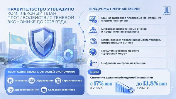 Правительство утвердило Комплексный план мероприятий по противодействию теневой экономике до 2028 года - Sputnik Казахстан