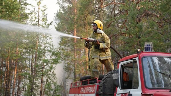 55 лесных пожаров за одни сутки: последствия грозового фронта - Sputnik Казахстан