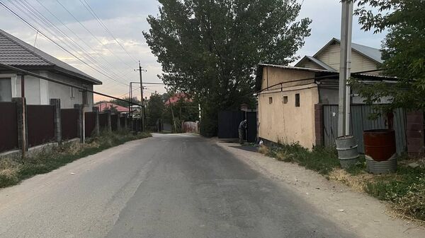 Алматы облысы Қарасай ауданы Көксай ауылында аула ішінде жол апаты болған көше - Sputnik Қазақстан