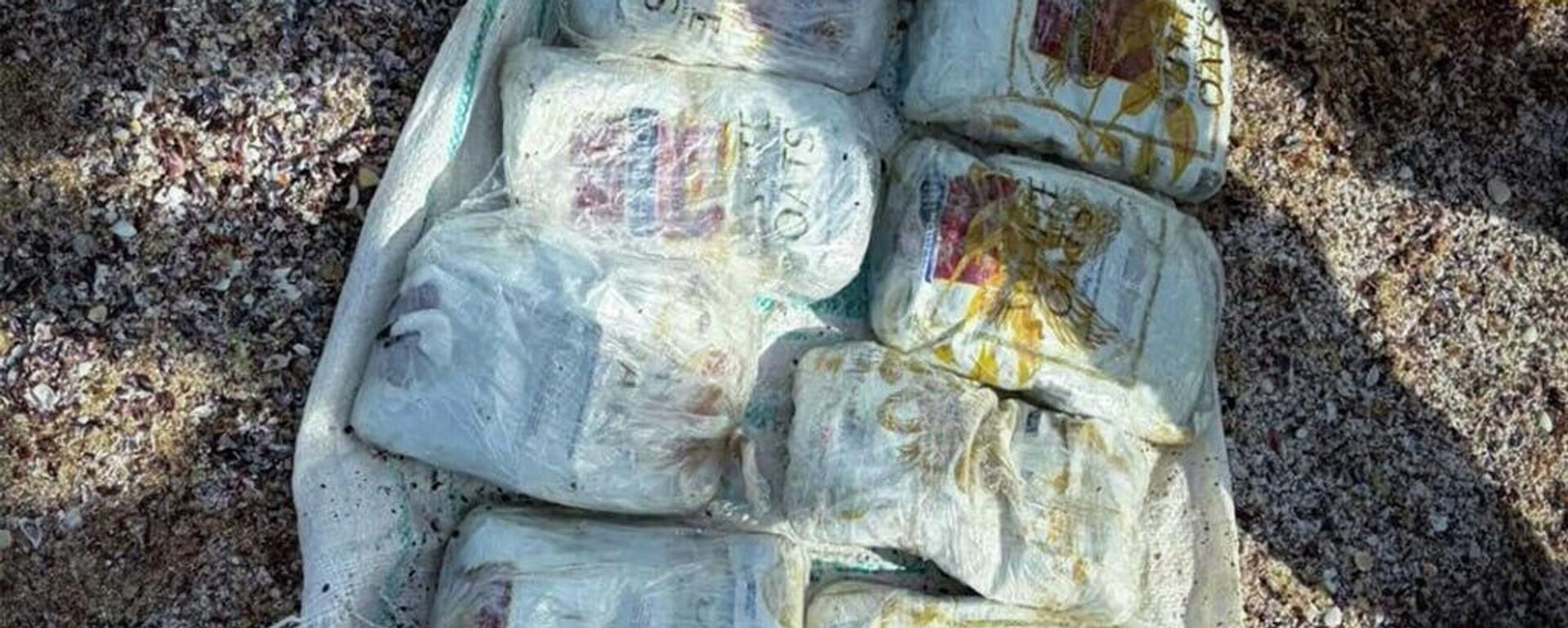 Жыл басынан бері есірткі жеткізудің 33 халықаралық және 11 өңірлік арнасы жойылды, 3 жасырын зертхананың әрекетінің жолы кесілді - Sputnik Қазақстан, 1920, 04.08.2026