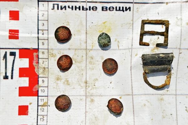 Павлодарский отряд Майдан жолы принял участие в международной Вахте памяти - 2026 в Калининградской области - Sputnik Казахстан