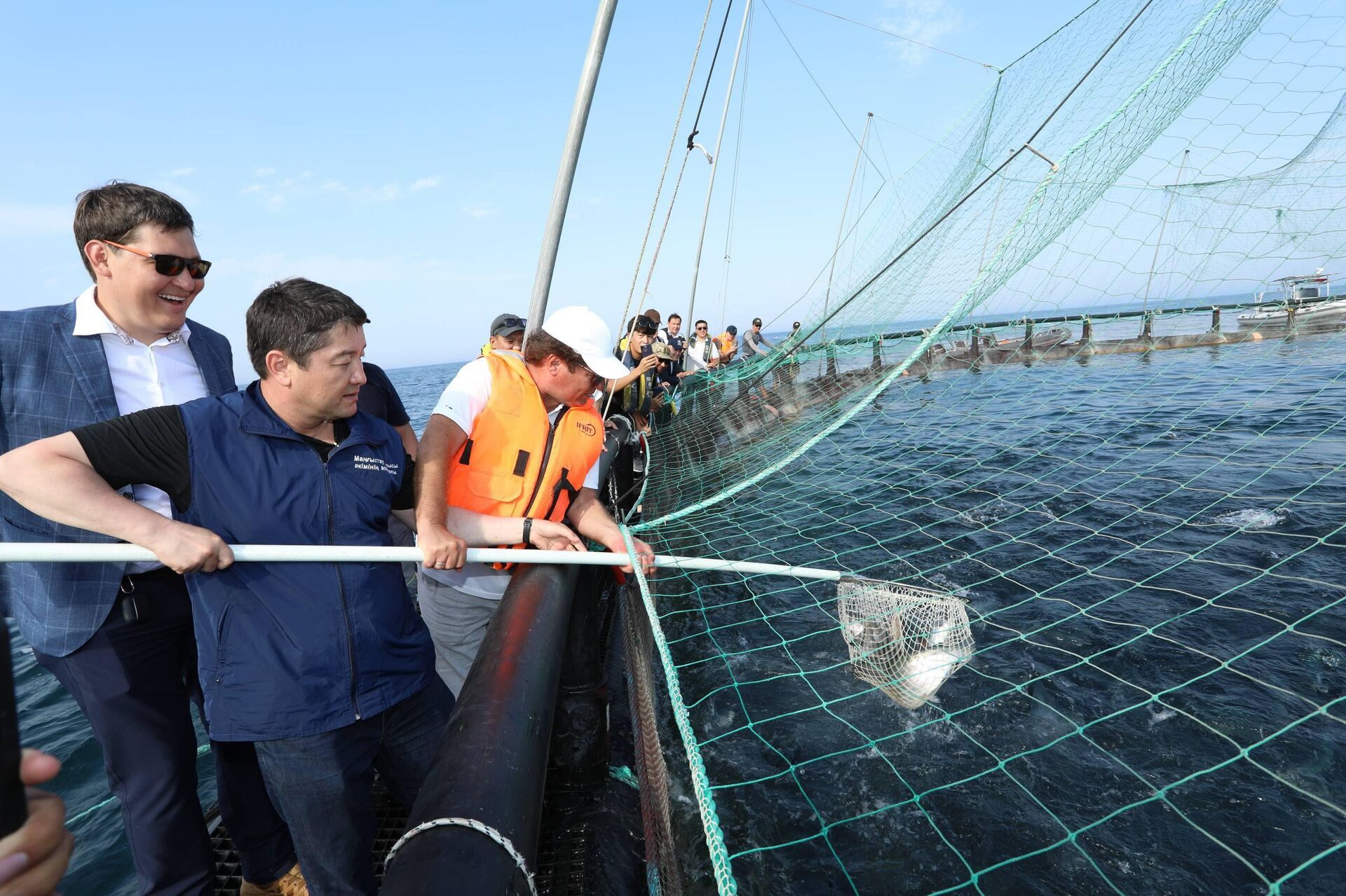 Хозяйство по выращиванию рыбы в Каспийском море ТОО Organic Fish Хозяйство по выращиванию рыбы в Каспийском море ТОО Organic Fish - Sputnik Казахстан, 1920, 26.08.2026