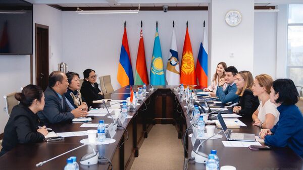 Встреча представителей департамента торговой политики Евразийской экономической комиссии и министерства иностранных дел Индонезии - Sputnik Казахстан