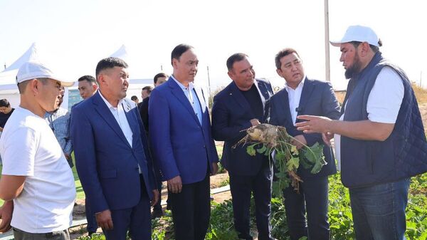 Таразда тәулігіне 3000 тонна қызылша өңдейтін зауыт іске қосылады - Sputnik Қазақстан