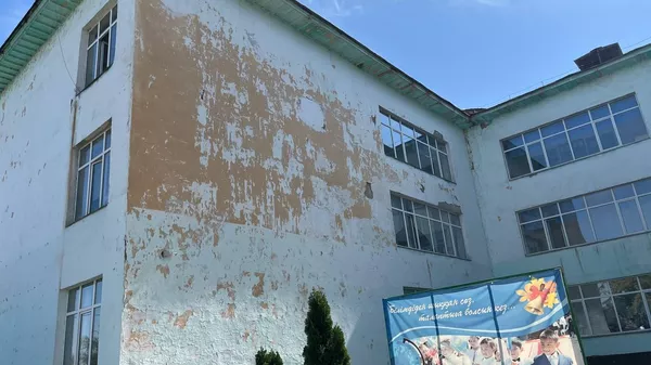 Алматы облысында ерекше балалар тозығы жеткен мектепте білім алып жүр - Sputnik Қазақстан
