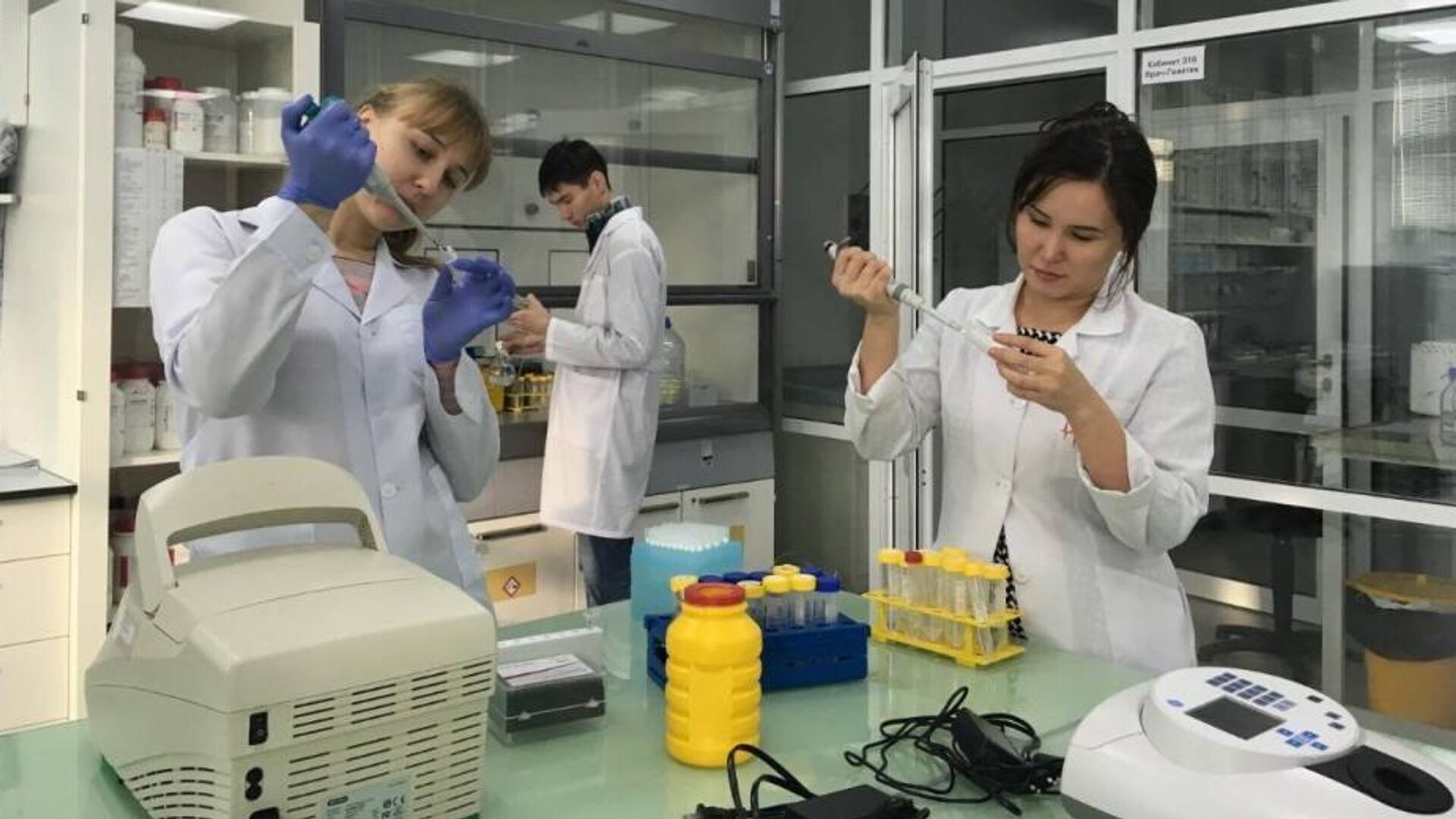 ПЦР-тест для выявления фальсификации мясной продукции создали в Казахстане ПЦР-тест для выявления фальсификации мясной продукции создали в Казахстане - Sputnik Казахстан, 1920, 07.10.2026