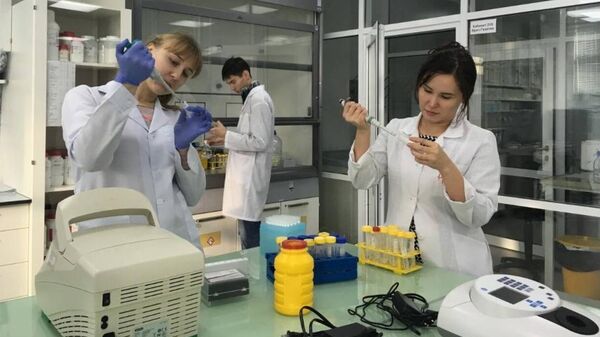 ПЦР-тест для выявления фальсификации мясной продукции создали в Казахстане - Sputnik Казахстан