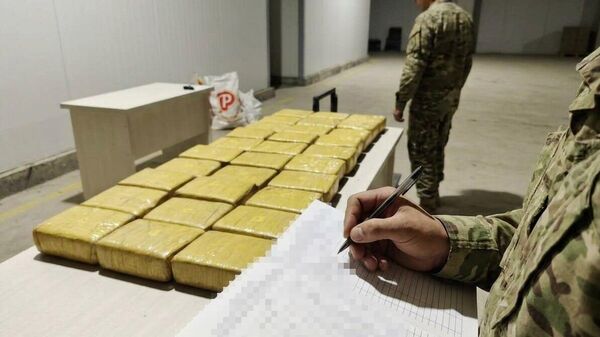Спецслужбы Казахстана, России и Узбекистана пресекли канал контрабанды наркотиков - Sputnik Казахстан