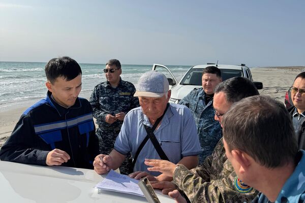 Специалисты департамента экологии изучили место обнаружения мертвых осетров на Каспии Специалисты департамента экологии изучили место обнаружения мертвых осетров на Каспии - Sputnik Казахстан