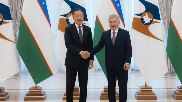 Председатель Коллегии ЕЭК Бакытжан Сагинтаев и президент Узбекистана Шавкат Мирзиёев встретились в Ташкенте - Sputnik Казахстан