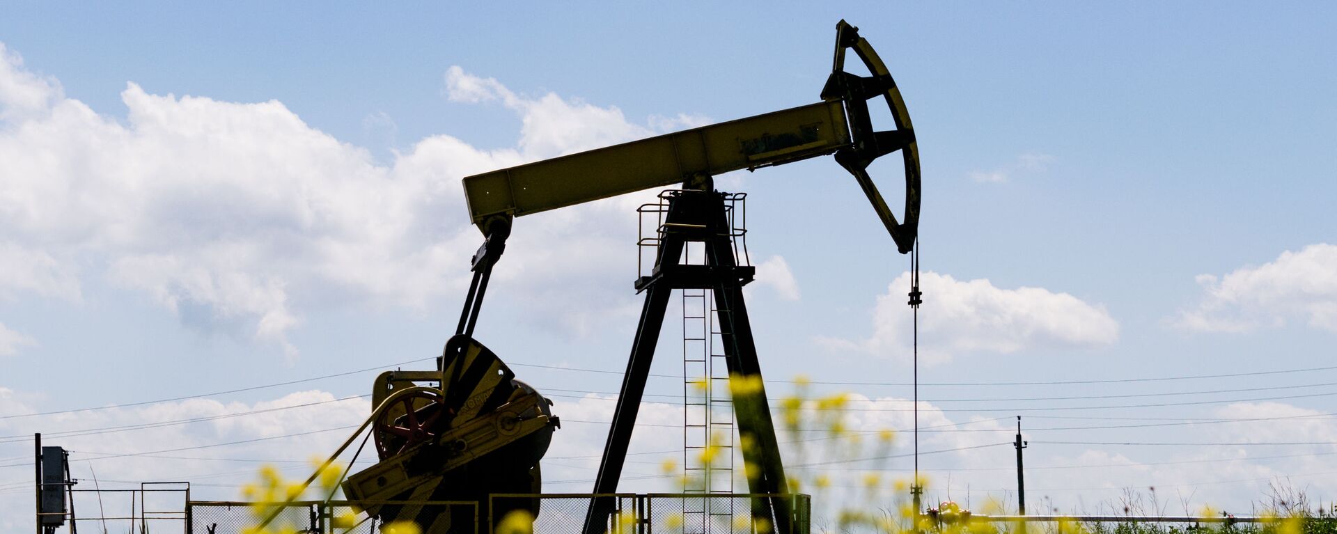 Нефтяные станки-качалки  - Sputnik Казахстан, 1920, 13.08.2023