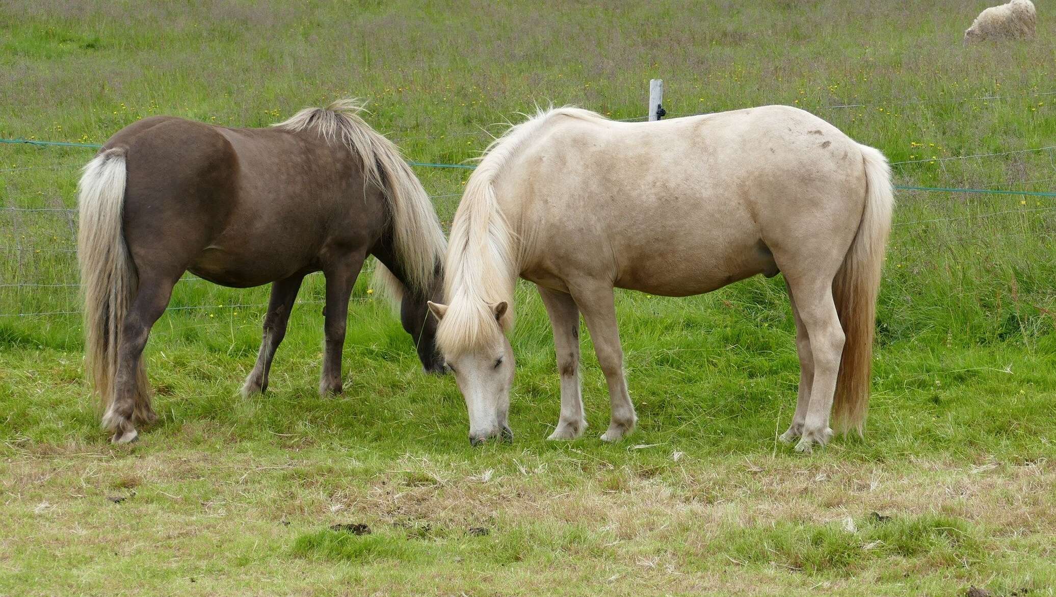 Әйелдердің минет фото альбомдары Ерлердегі оргазмның ұзақтығы