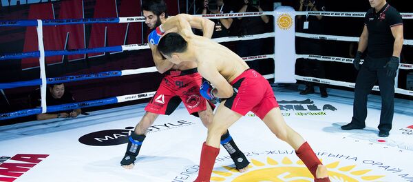 Третий Кубок Казахстана по ММА Третий Кубок Казахстана по ММА - Sputnik Казахстан