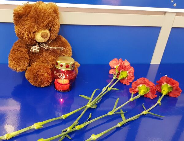 Самолет загорелся в Шереметьево – хронология страшной трагедии - Sputnik Казахстан