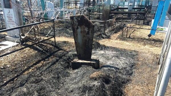 На кладбище в Петропавловске произошел пожар - Sputnik Казахстан