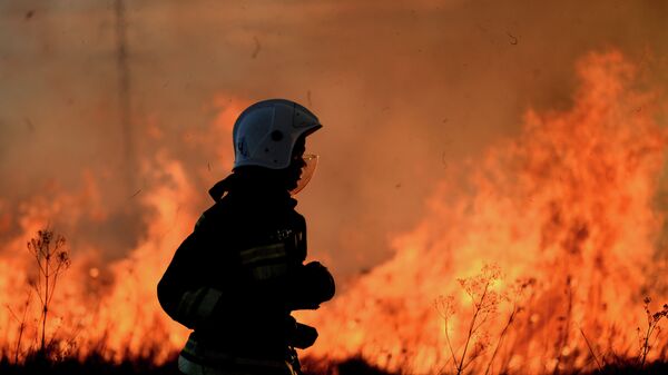 Лесной пожар, архивное фото - Sputnik Казахстан