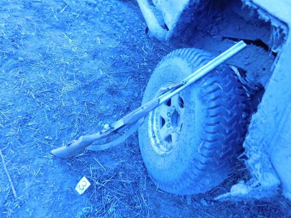 Браконьеров, застреливших краснокнижных птиц, взяли в осаду на севере Казахстана - Sputnik Казахстан