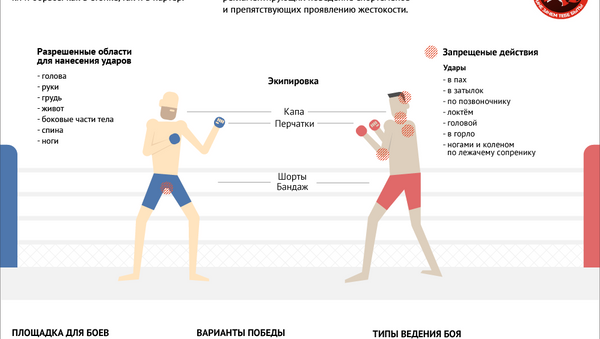 Инфографика: Путеводитель ММА Казахстана - Sputnik Казахстан