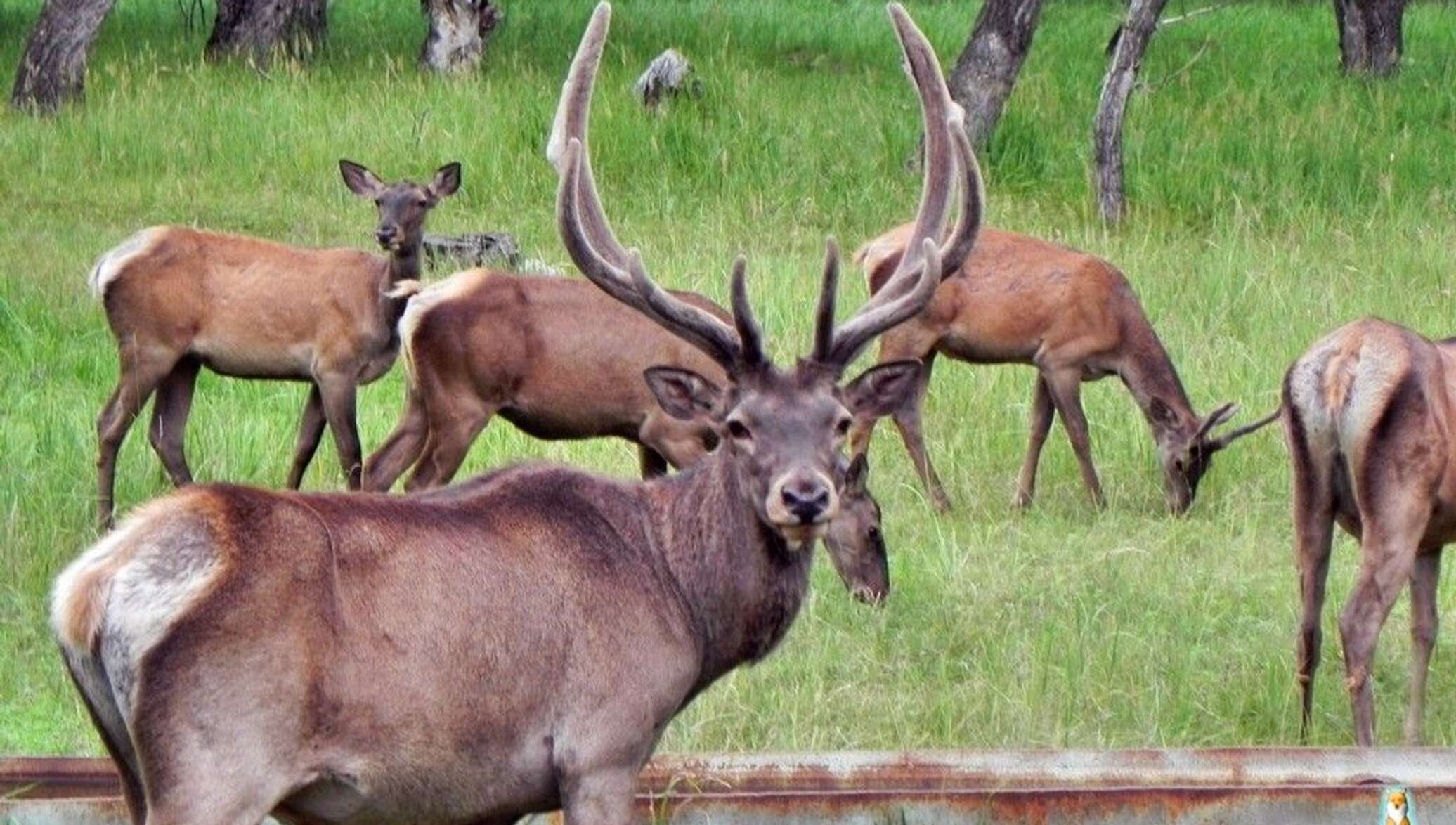 Мария Манакова жалаңаш Сталин туралы порно