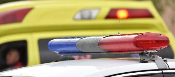 Проблесковый маячок на полицейской машине - Sputnik Казахстан
