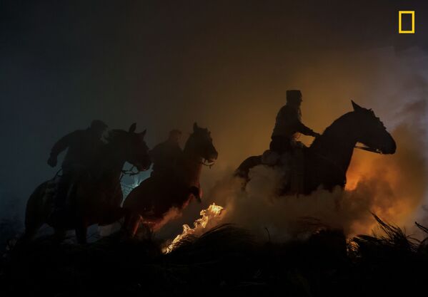 Снимок Horses фотографа Yoshiki Fujiwara, занявший второе место в категории People конкурса National Geographic Travel Photo 2019 - Sputnik Казахстан