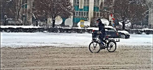 Велосипедист Алексис в Алматы Велосипедист Алексис в Алматы - Sputnik Казахстан