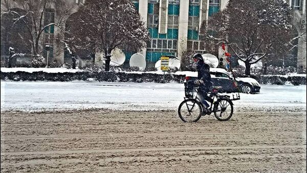 Велосипедист Алексис в Алматы - Sputnik Казахстан