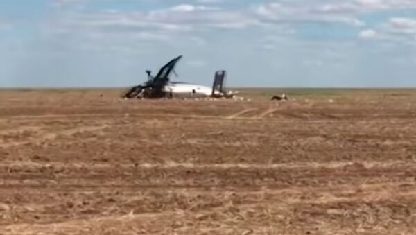 Видео с места крушения самолета в Акмолинской области - Sputnik Казахстан