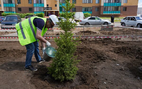 Руководитель представительства МИА Россия сегодня в Республике Казахстан Виктор Панов во время высадки деревьев на Аллее журналистов - Sputnik Казахстан